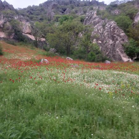 Bed and Breakfast Сhachkari Вардзиа Экстерьер фото