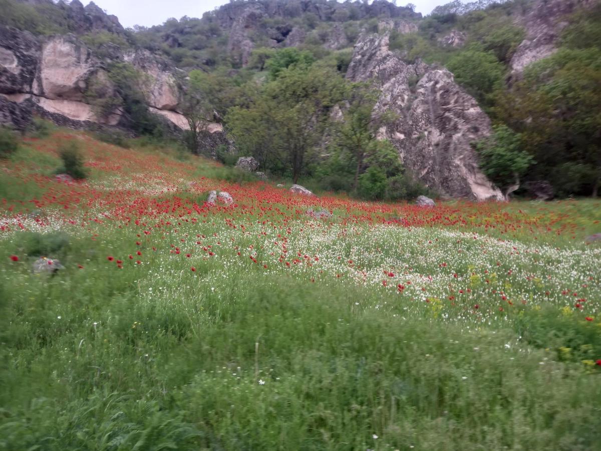 Bed and Breakfast Сhachkari Вардзиа Экстерьер фото